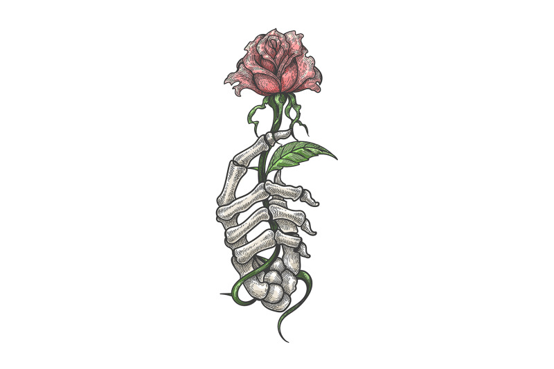 skeleton-hand-holds-rose-flower-tattoo-isolated-on-white