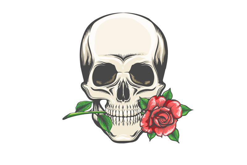 skull-with-a-rose-in-the-teeth-tattoo