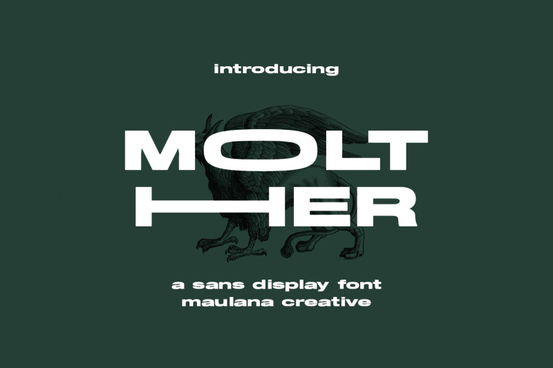 molther-sans-display-font