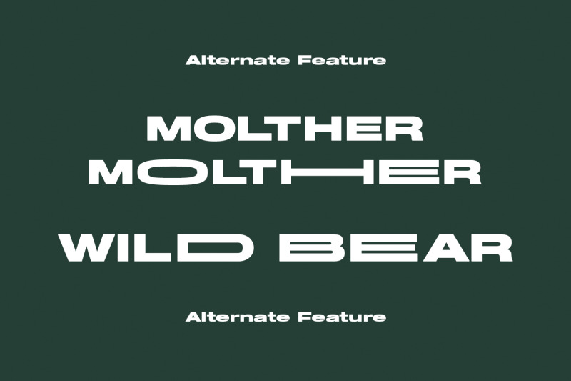 molther-sans-display-font