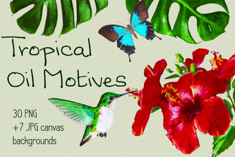 tropical-oil-motives-big-transparent-png-files-set