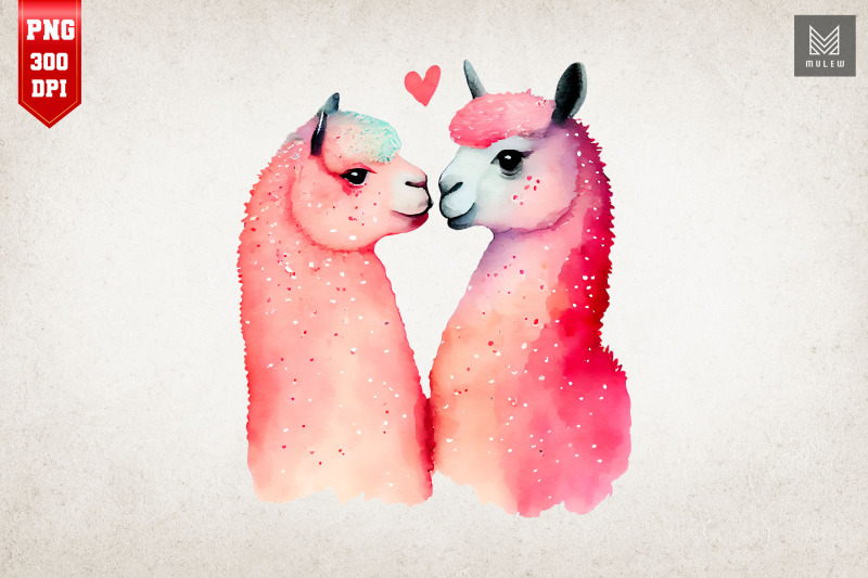 lovely-couple-llama-kissing-valentine