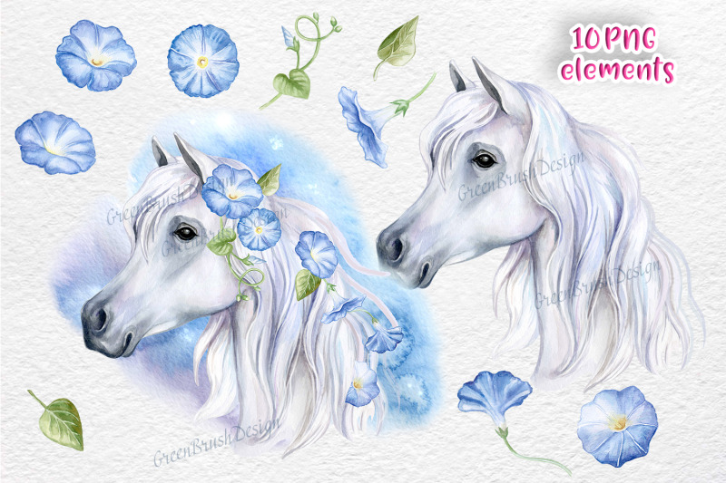 white-horse-face-watercolor-png