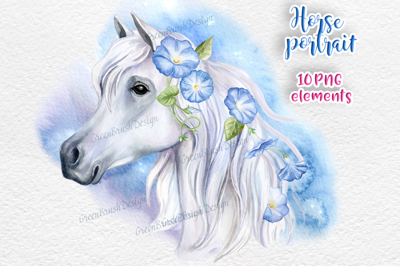 white-horse-face-watercolor-png