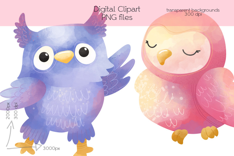 owls-clipart-png-files