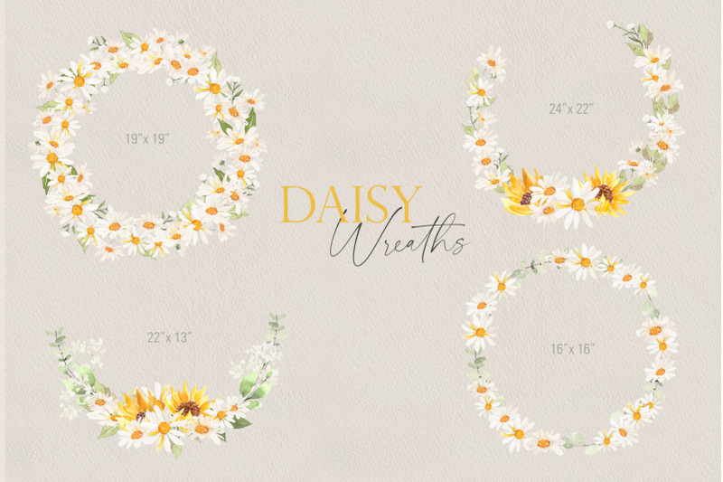 my-daisy-floral