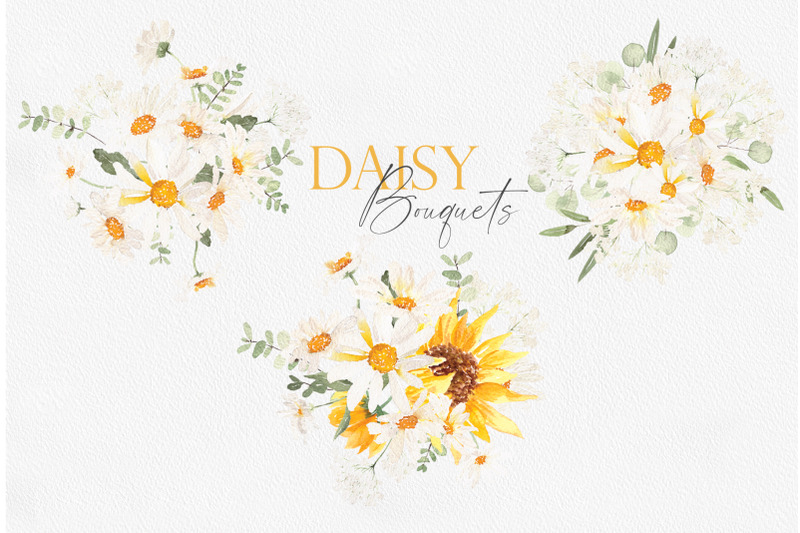 my-daisy-floral