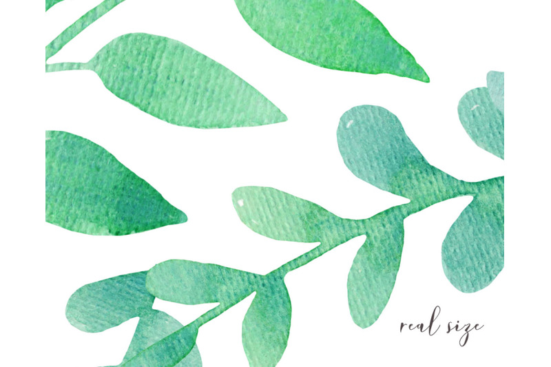 green-floral-clipart-watercolor-png-c17