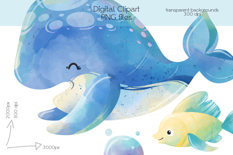 whale-clipart-png-files