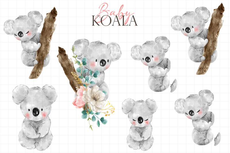 baby-koala-watercolor-cliparts
