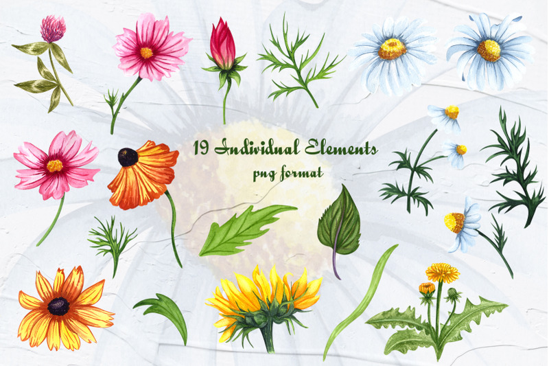 wildflowers-watercolor-clipart