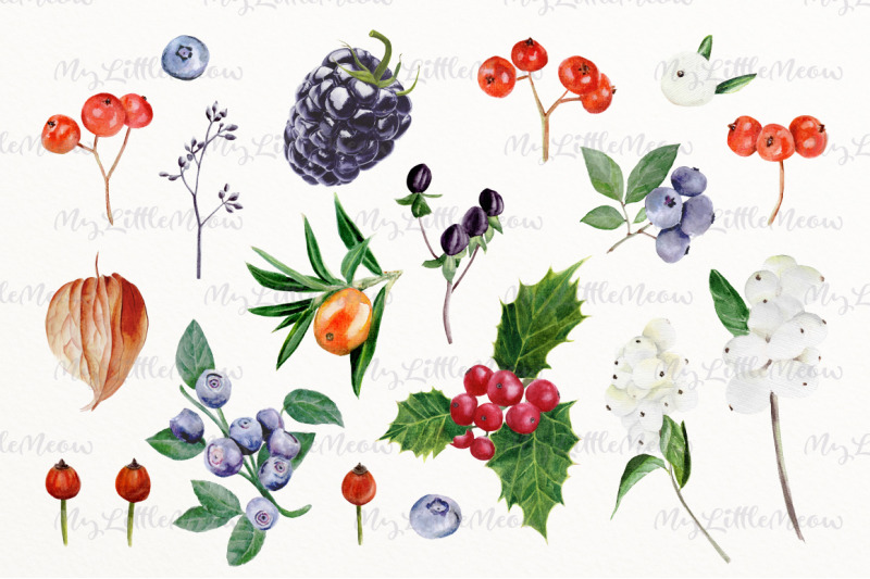 watercolor-berries-png-summer-clipart-hand-c19