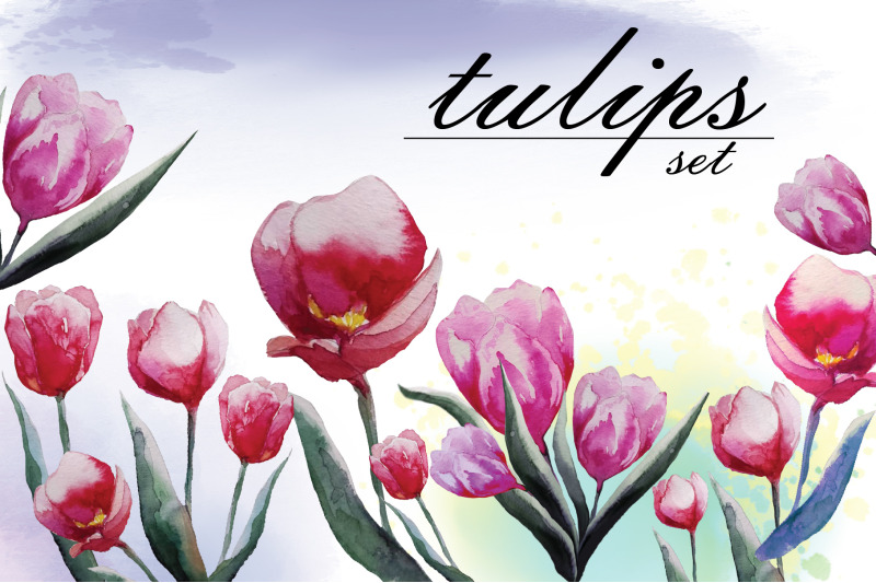 tulips-flowers