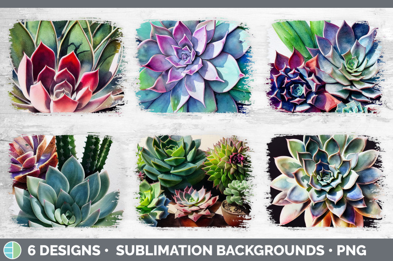 succulents-distressed-sublimation-background-panel