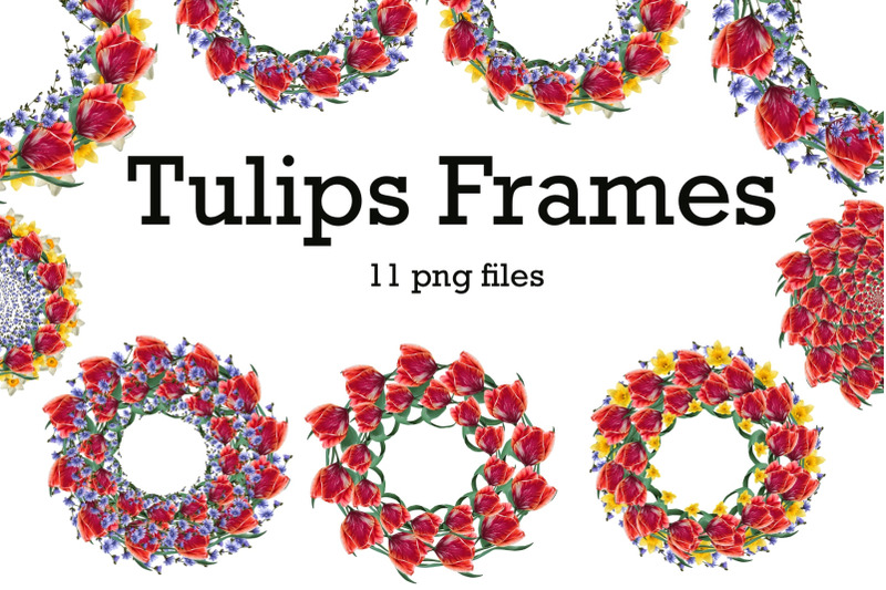 tulip-frames