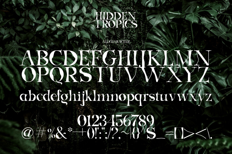 hidden-tropics-a-new-unique-serif-font