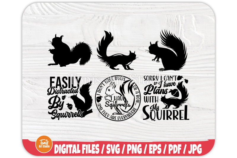 squirrel-svg-cut-files-squirrel-svg-bundle-squirrel-clipart-squi