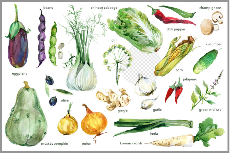 watercolor-vegetables-png