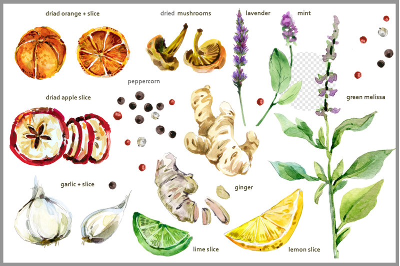 cooking-herbs-amp-spices-png