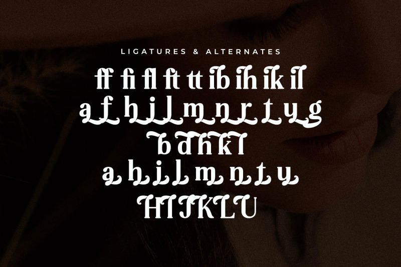 jelibra-typeface