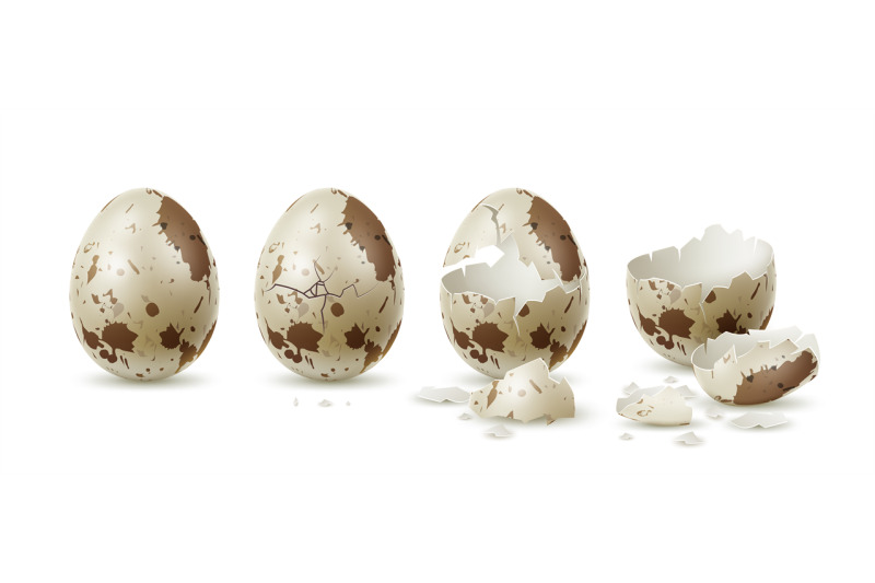 realistic-cracked-quail-egg-whole-and-broken-variegated-shell-textur