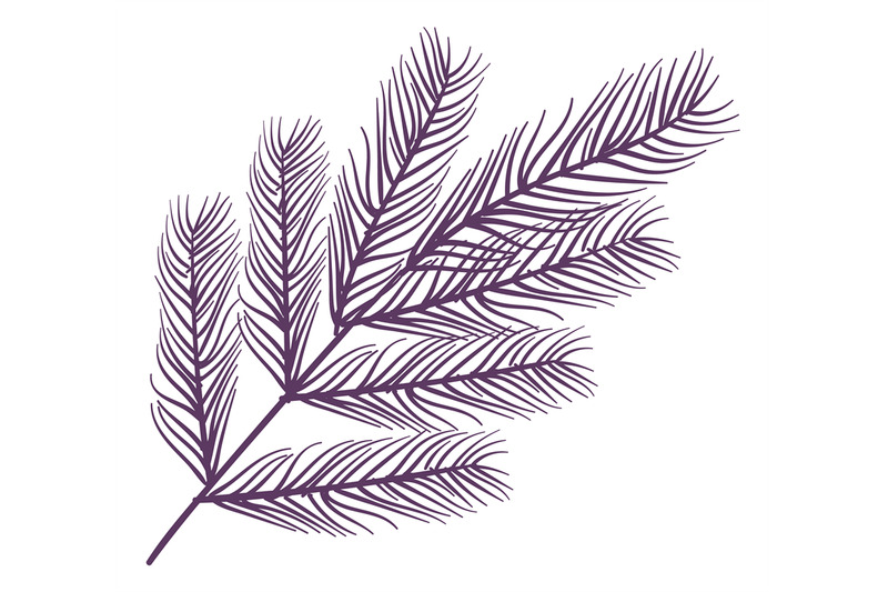 coniferous-branch-sketch-isolated-decorative-element-xmas-decor-ret