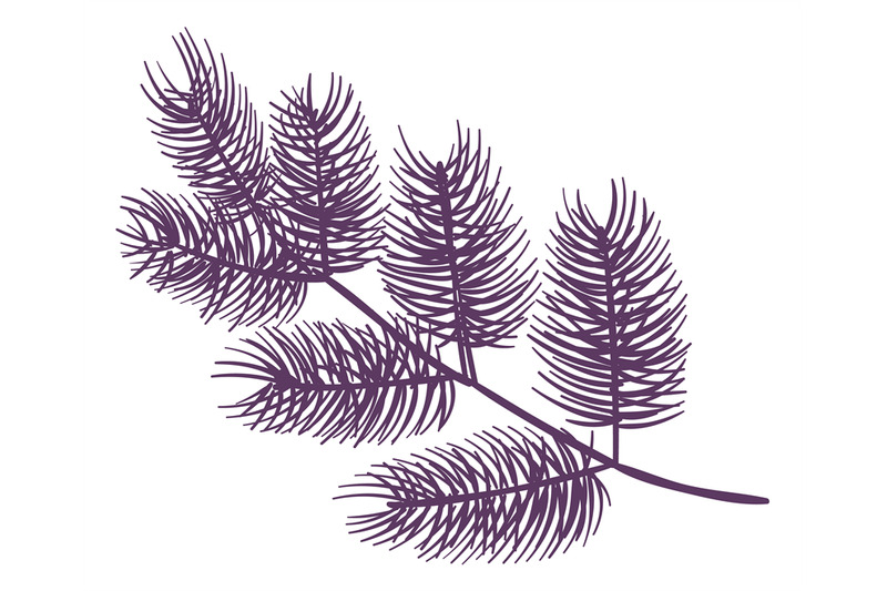 sketch-xmas-branch-retro-christmas-holly-and-evergreen-drawing-spruce