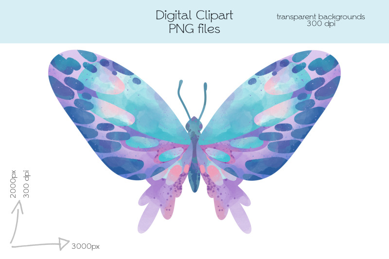 butterflies-clipart-png-files