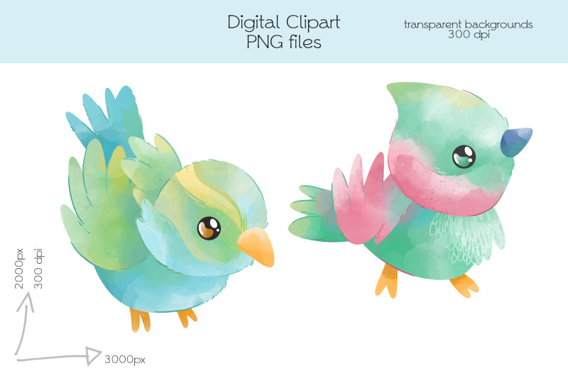 birds-clipart-png-files