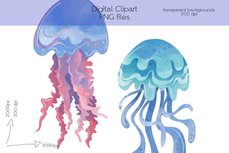 jellyfish-clipart-png-files