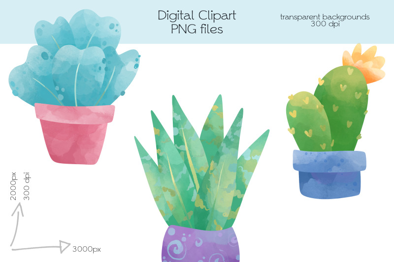 cactus-clipart-png-files