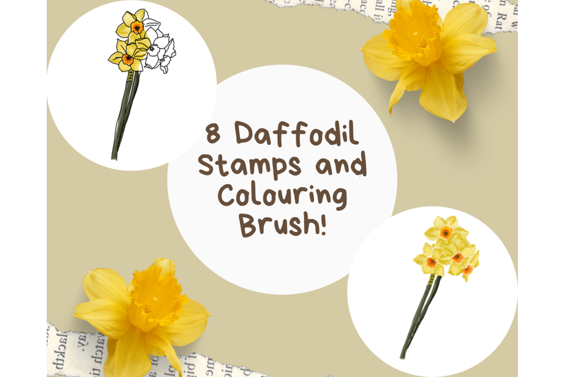 daffodils-stamps-x8-and-colouring-brush