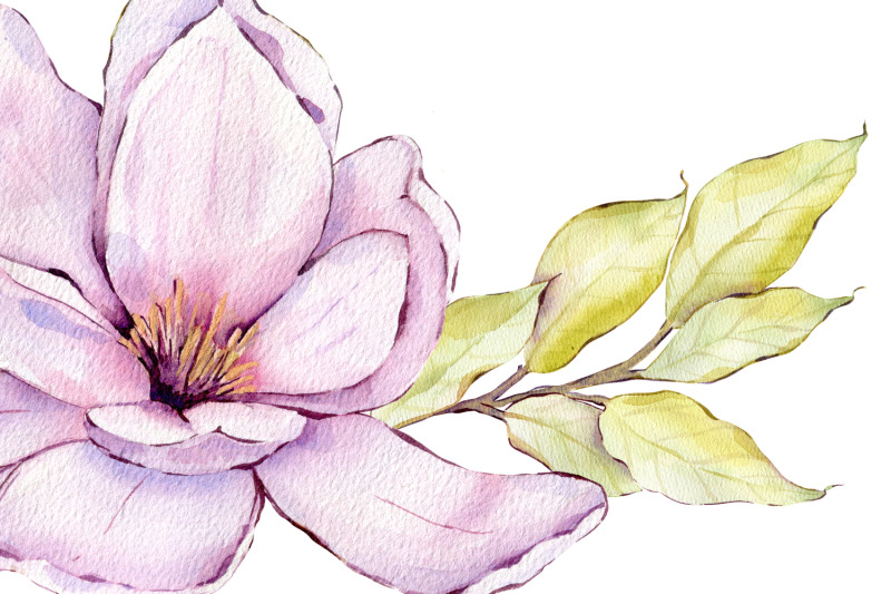 watercolor-pink-magnolia-flowers-clipart-romantic-bouquet