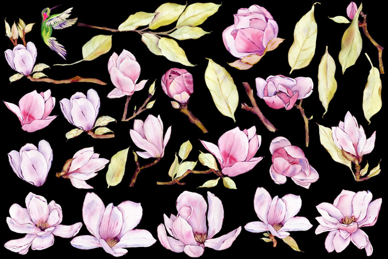 watercolor-pink-magnolia-flowers-clipart-romantic-bouquet