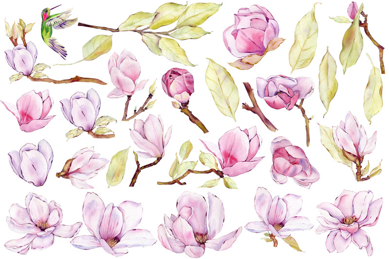 watercolor-pink-magnolia-flowers-clipart-romantic-bouquet