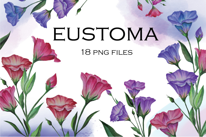 eustoma-set