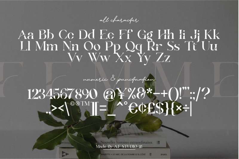 femme-a-modern-serif-font