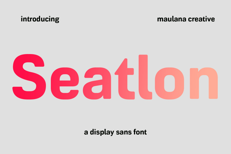 seatlon-sans-display-font