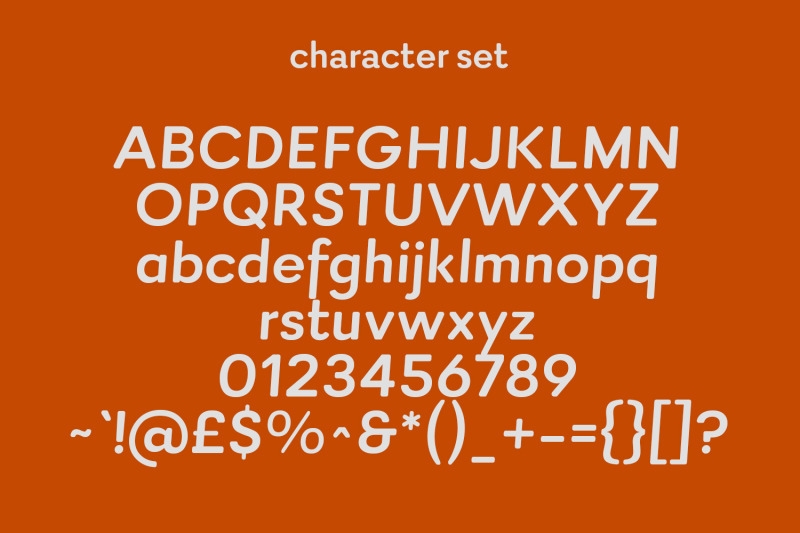 rinkart-sans-display-font