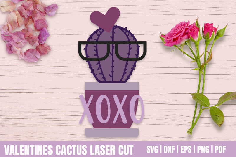 valentine-039-s-day-laser-cut-cactus-xoxo