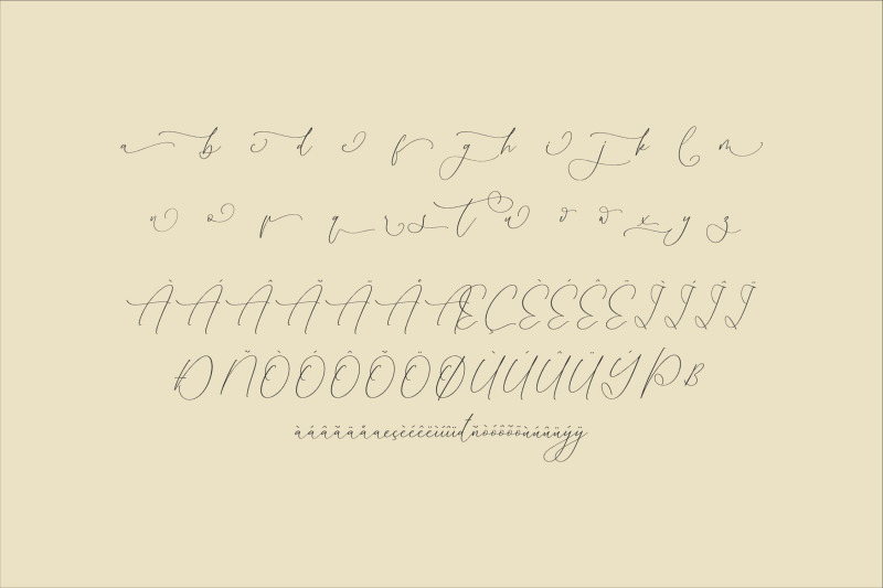 homylane-dremyntine-chic-calligraphy-font