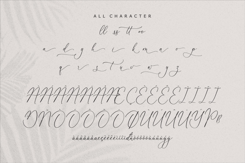 beatrice-clorophil-chic-calligraphy-font