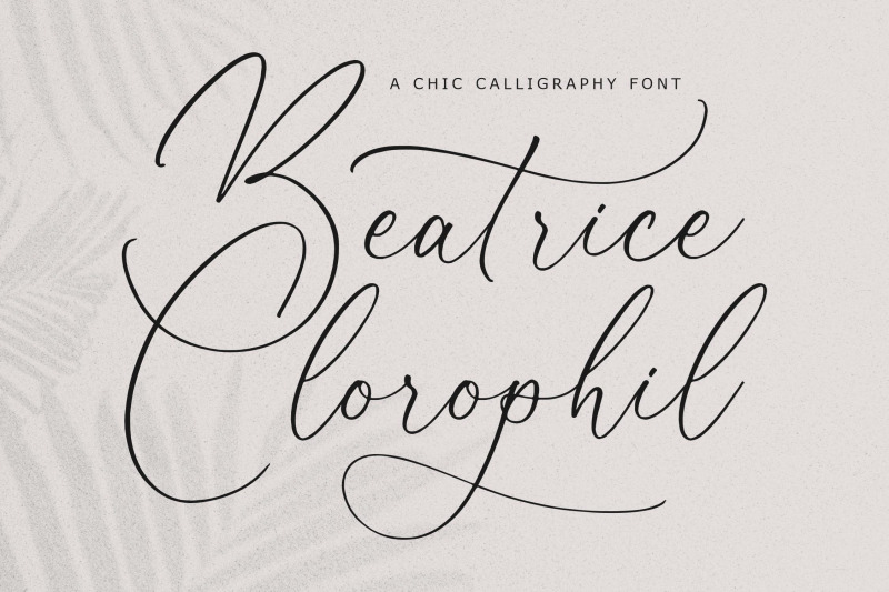 beatrice-clorophil-chic-calligraphy-font