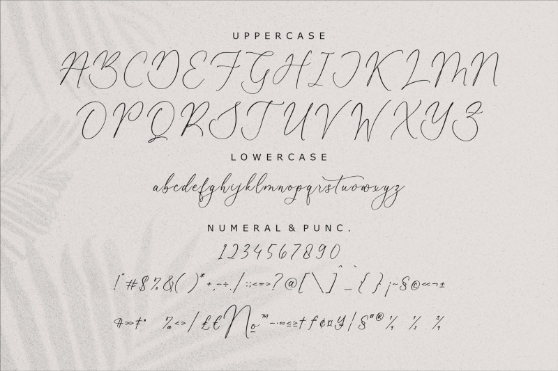 beatrice-clorophil-chic-calligraphy-font