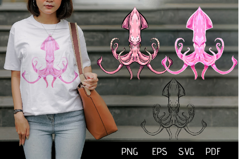 vector-illustration-of-squid-3-variations