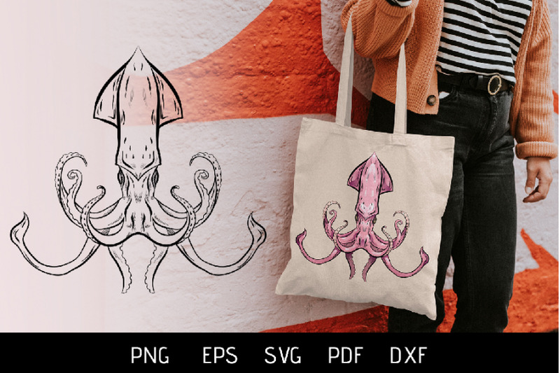 vector-illustration-of-squid-3-variations