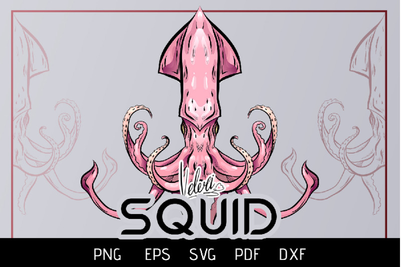 vector-illustration-of-squid-3-variations