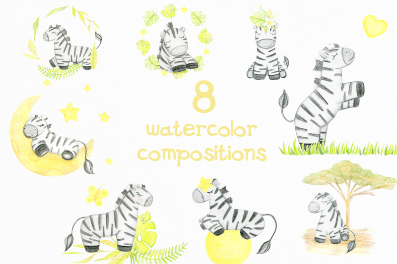 watercolor-zebra-clipart-nursery-png