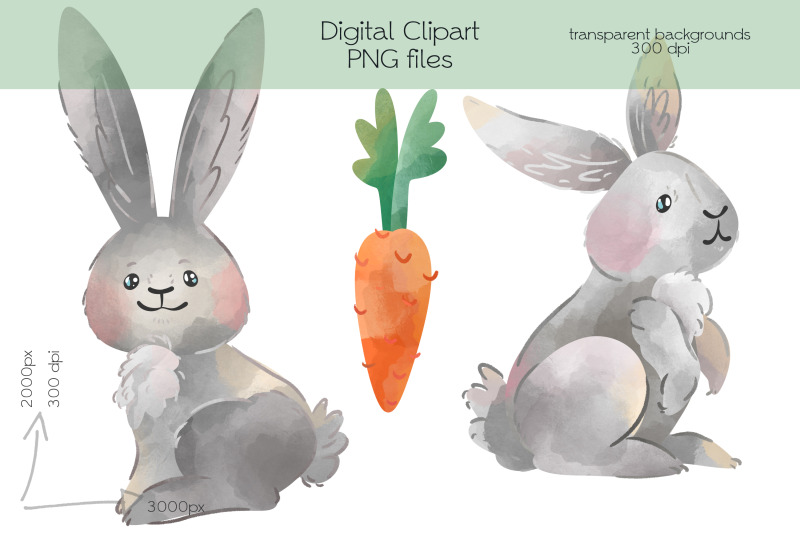 rabbit-clipart-png-files