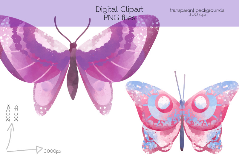 butterflies-clipart-png-files